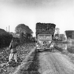 841008 Afbeelding van een vrachtauto met turf op een smalle weg (vóór de ruilverkaveling) te Zegveld (gemeente Woerden).